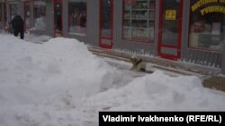 Киев, 23 марта