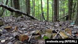 Парэшткі падмуркаў