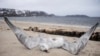 Russia -- Pictured in this file image dated May 2, 2009 is a dead seagull lying on the shore of the Barents Sea in the village of Teriberka, Murmansk region
