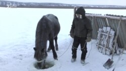 Сібірдің қақаған аязындағы өмір