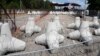 Польша закрыла все погранпункты на границе с Республикой Беларусь