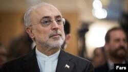 علی‌اکبرصالحی، رئیس سازمان انرژی اتمی ایران، می‌گوید «کمیته مشترک بازسازی رآکتور اراک» کار خود را خوب انجام می‌دهد