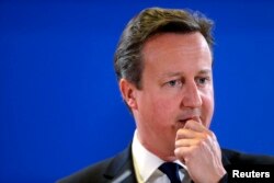 Premierul britanic David Cameron.