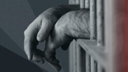 На страже прав человека в Крыму | Крымский вечер
