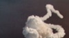 28 января 1986 года. На 73-й секунде полета Space Shuttle Challenger взорвался. Погибли все 7 членов экипажа.