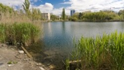 Крымские парки станут платными? | Доброе утро, Крым